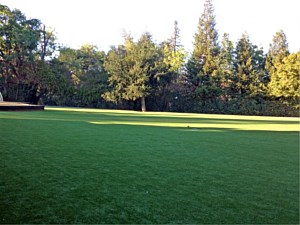 Residential Artificial Turf Lake Yorba Linda